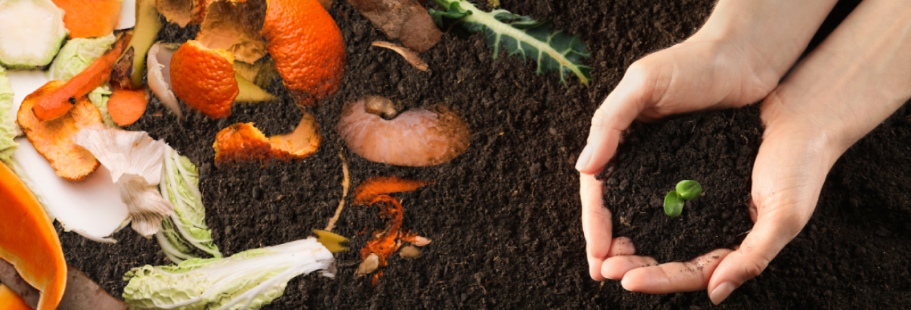 Che fine fa l'organico